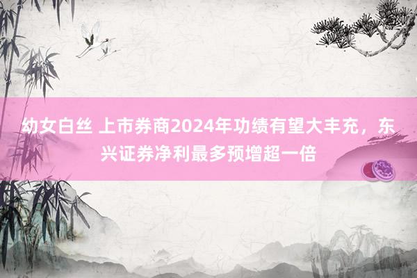 幼女白丝 上市券商2024年功绩有望大丰充，东兴证券净利最多预增超一倍