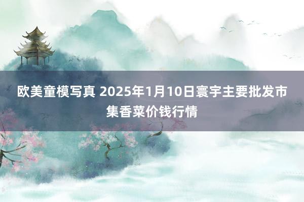 欧美童模写真 2025年1月10日寰宇主要批发市集香菜价钱行情