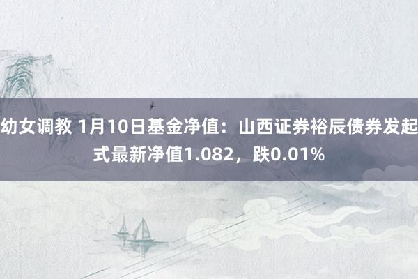 幼女调教 1月10日基金净值：山西证券裕辰债券发起式最新净值1.082，跌0.01%