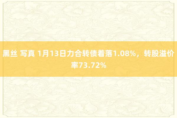 黑丝 写真 1月13日力合转债着落1.08%，转股溢价率73.72%