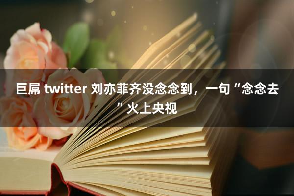 巨屌 twitter 刘亦菲齐没念念到，一句“念念去”火上央视