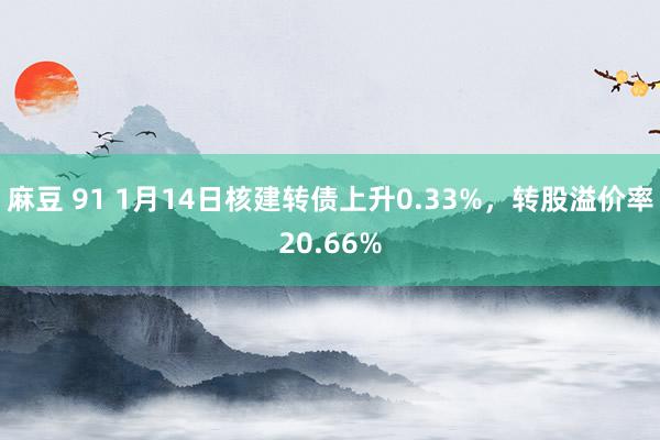 麻豆 91 1月14日核建转债上升0.33%，转股溢价率20.66%