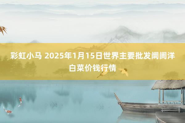 彩虹小马 2025年1月15日世界主要批发阛阓洋白菜价钱行情