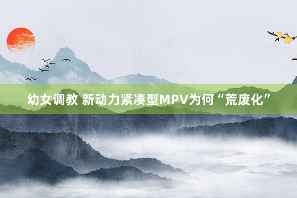 幼女调教 新动力紧凑型MPV为何“荒废化”