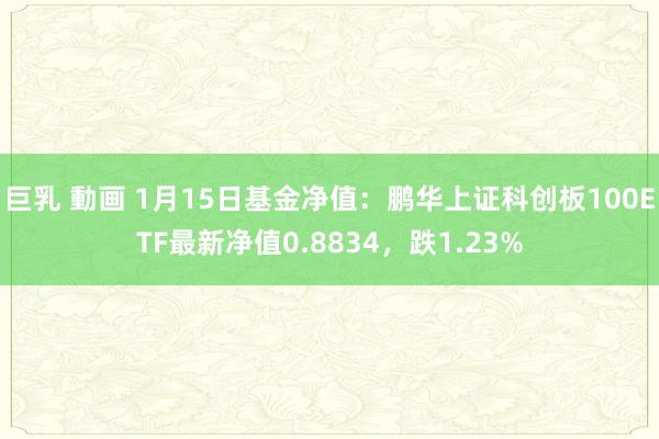 巨乳 動画 1月15日基金净值：鹏华上证科创板100ETF最新净值0.8834，跌1.23%