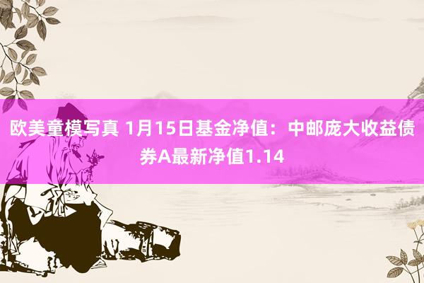 欧美童模写真 1月15日基金净值：中邮庞大收益债券A最新净值1.14