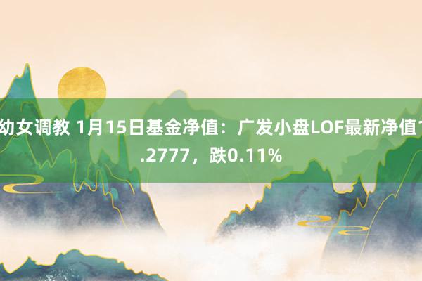 幼女调教 1月15日基金净值：广发小盘LOF最新净值1.2777，跌0.11%